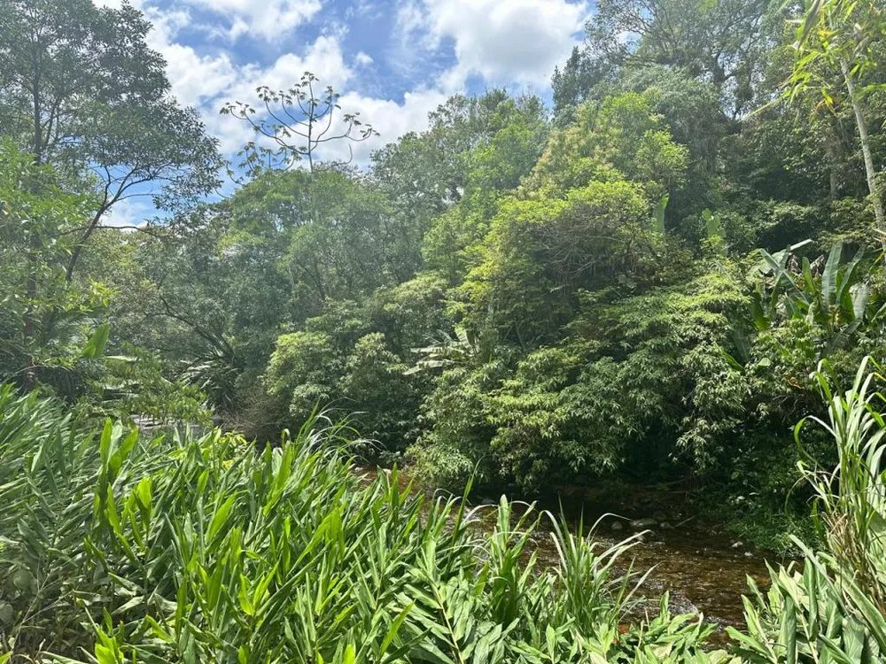 Terreno - Foto 4