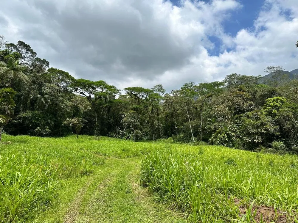 Terreno - Foto 1