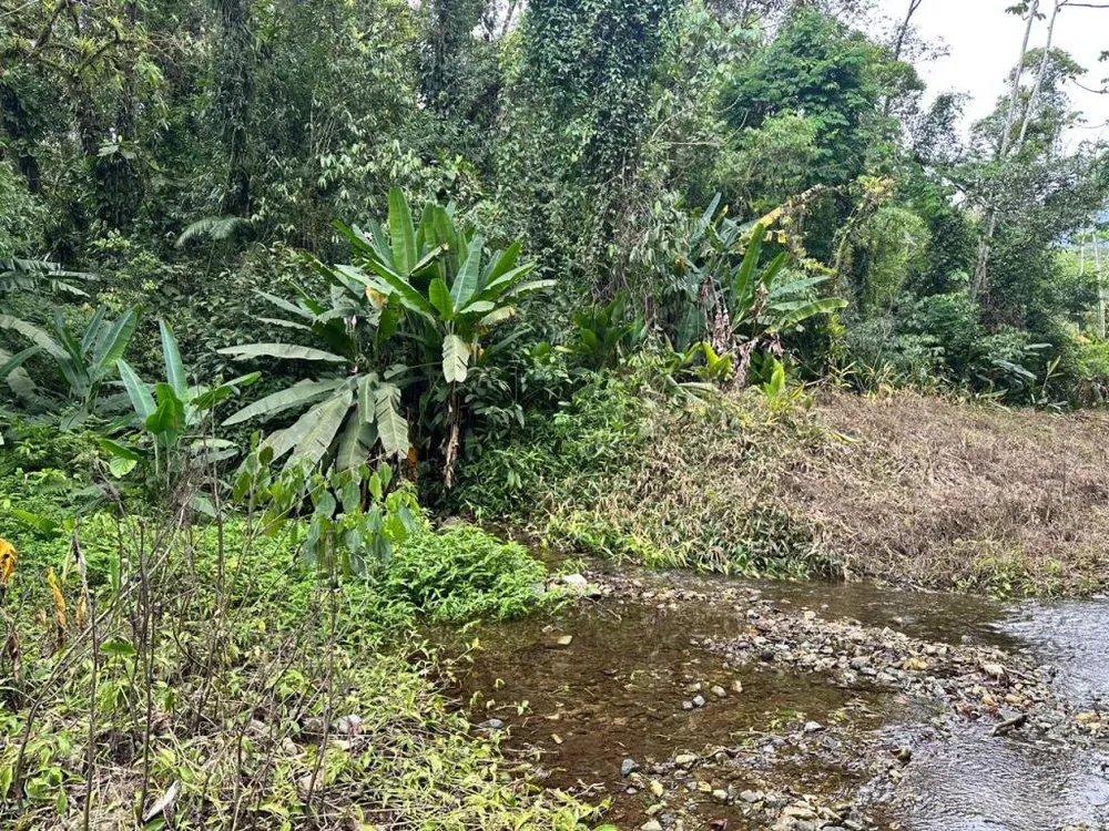 Terreno - Foto 5