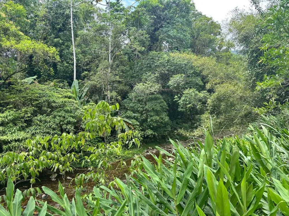 Terreno - Foto 6