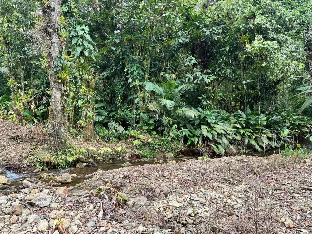 Terreno - Foto 6