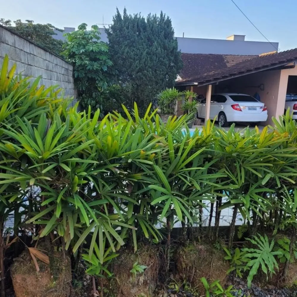 Terreno, 1170 m² - Foto 1