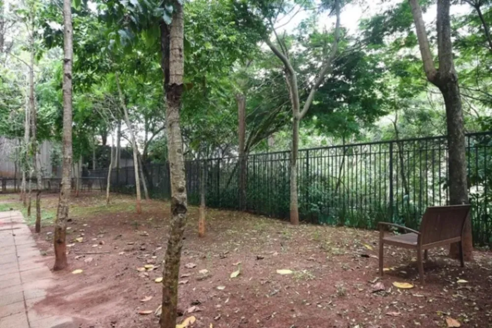 Apartamento, 3 quartos, 64 m² - Foto 2