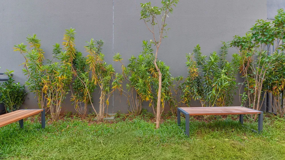 Apartamento, 1 quarto, 26 m² - Foto 5