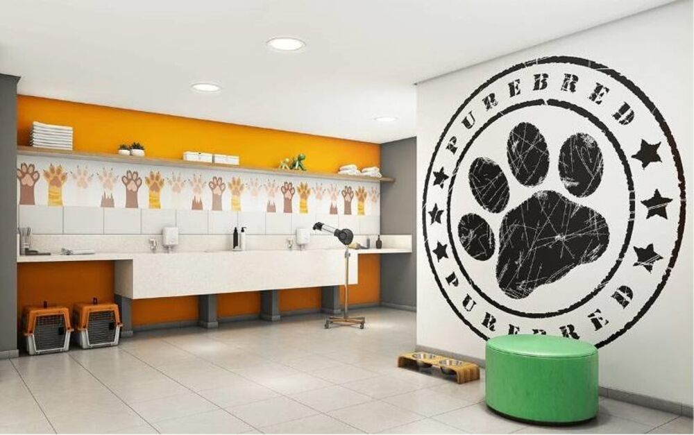 Apartamento, 2 quartos, 43 m² - Foto 13