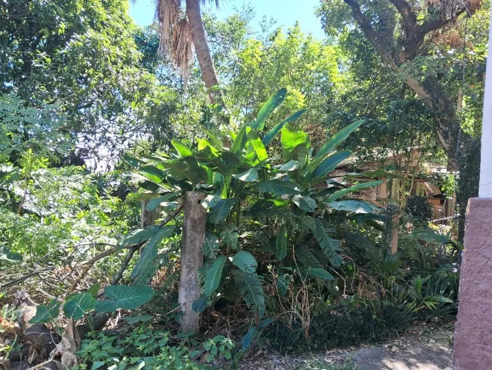 Terreno, 2800 m² - Foto 11