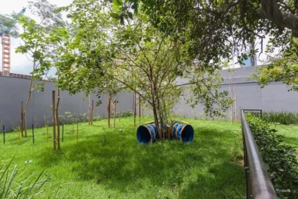 Apartamento, 1 quarto, 24 m² - Foto 4