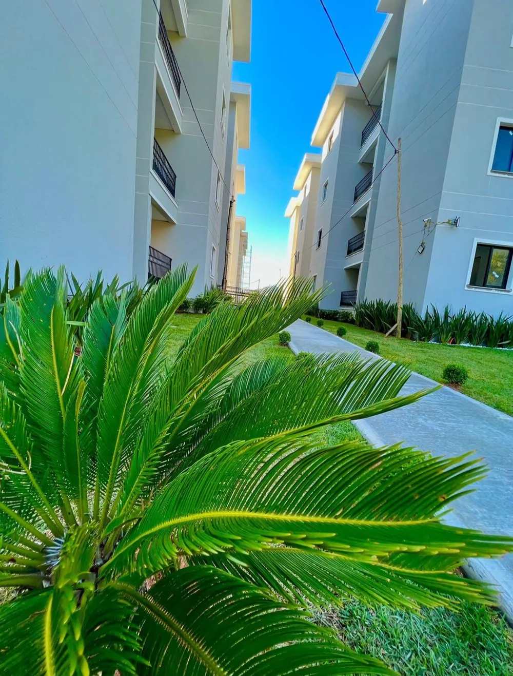 Apartamento, 2 quartos, 60 m² - Foto 11