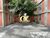 Apartamento, 2 quartos, 56 m² - Foto 17
