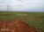 Terreno - Foto 3