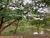 Terreno, 250 m² - Foto 3