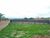 Terreno, 832 m² - Foto 3