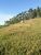 Fazenda - Foto 5