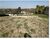 Terreno, 7550 m² - Foto 3