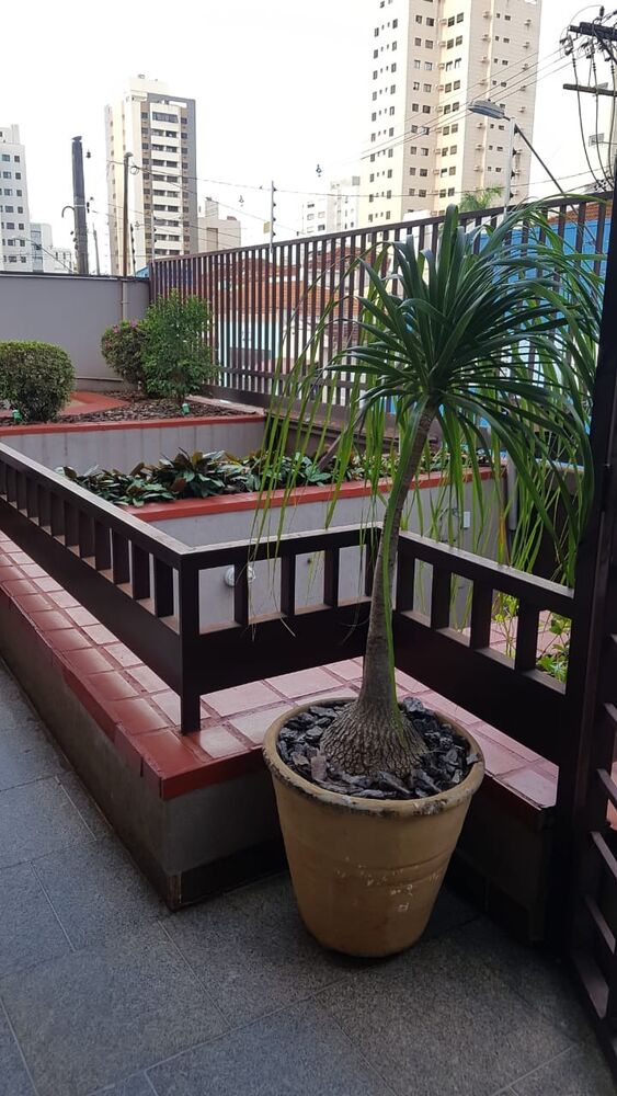Apartamento à venda com 3 quartos, 113m² - Foto 6