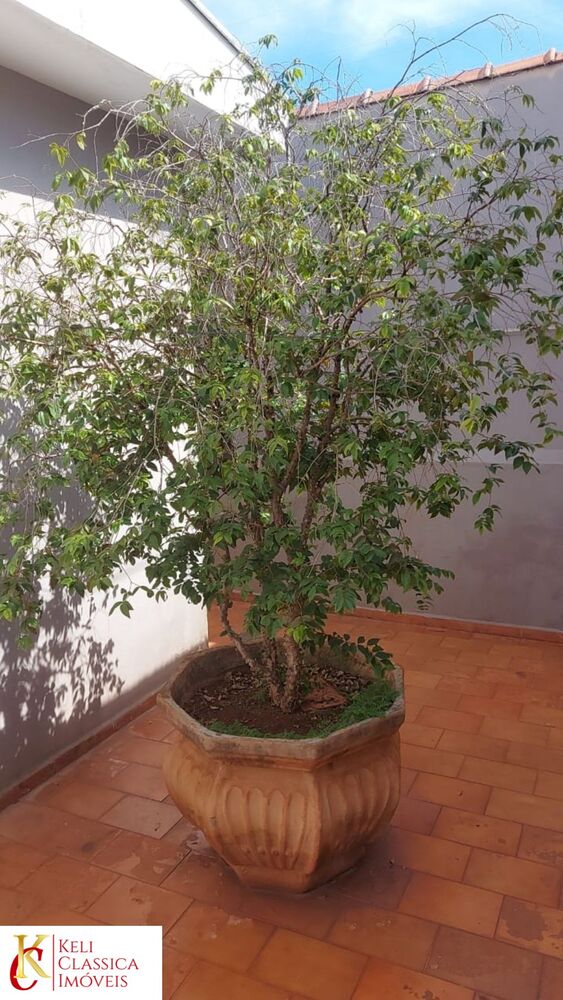 Casa, 4 quartos - Foto 8