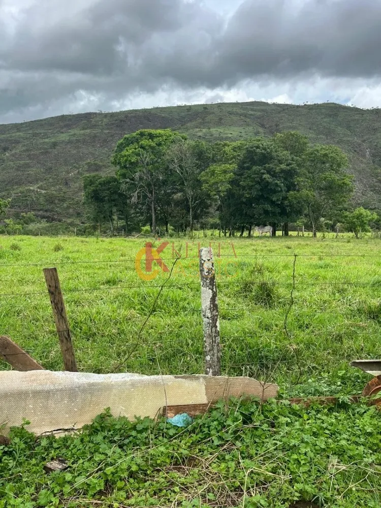 Fazenda, 53 hectares - Foto 1
