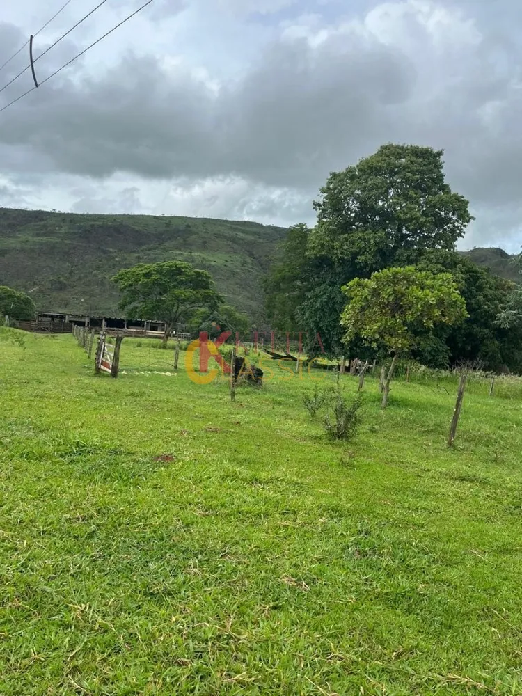 Fazenda, 53 hectares - Foto 8