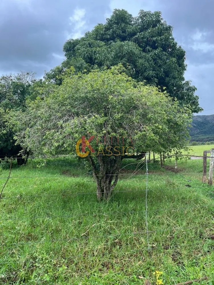Fazenda, 53 hectares - Foto 6