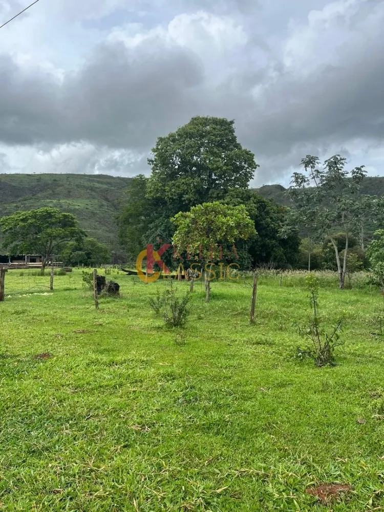 Fazenda, 53 hectares - Foto 3