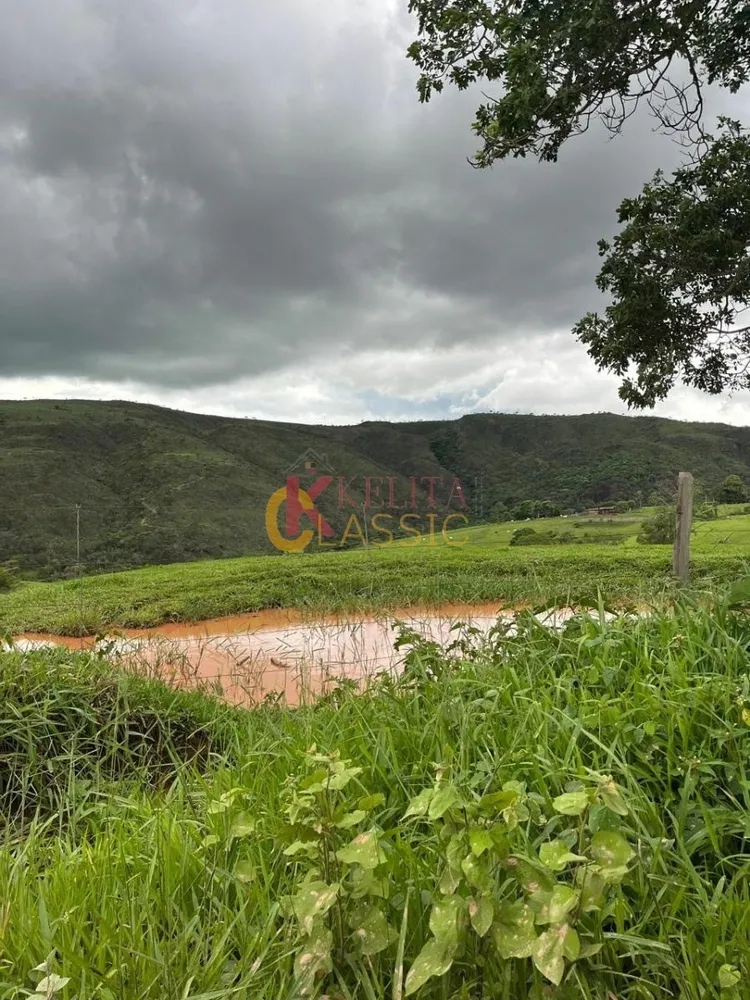 Fazenda, 53 hectares - Foto 7