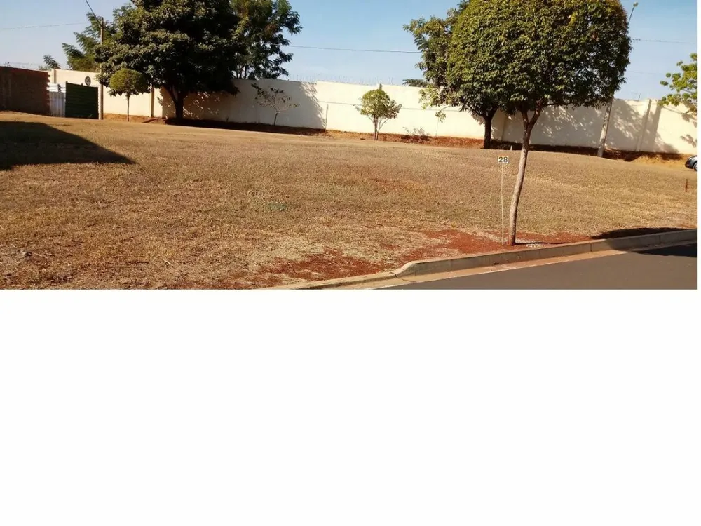 Terreno - Foto 5