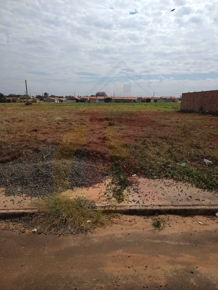 Terreno, 3 hectares - Foto 2