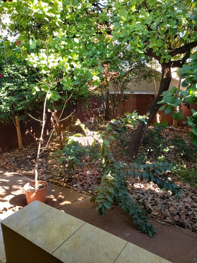 Casa, 4 quartos - Foto 8