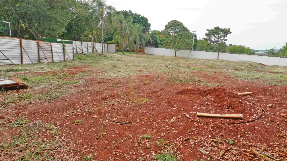 Terreno, 29 hectares - Foto 3