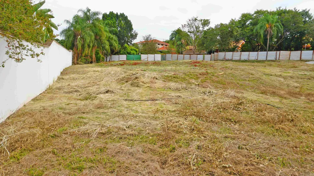 Terreno, 29 hectares - Foto 2