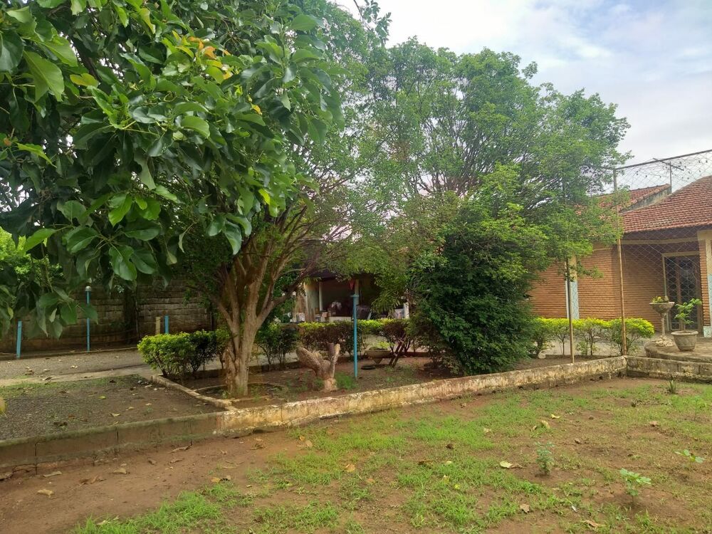 Chácara, 4 quartos - Foto 2