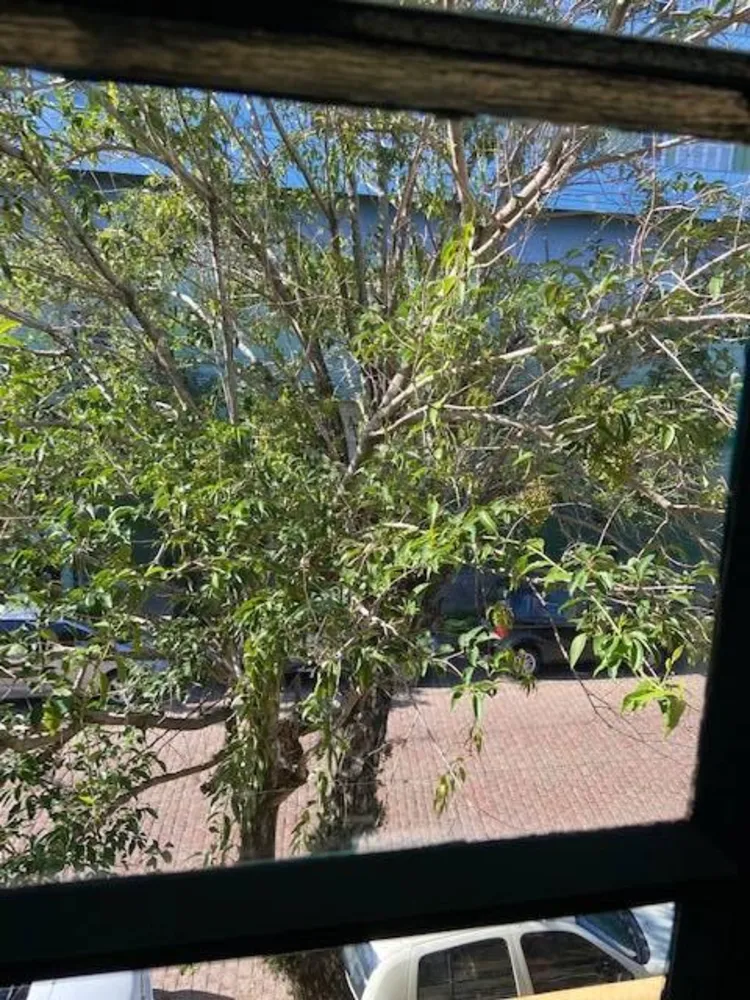 Apartamento, 4 quartos, 200 m² - Foto 4