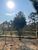 Terreno, 285 m² - Foto 1
