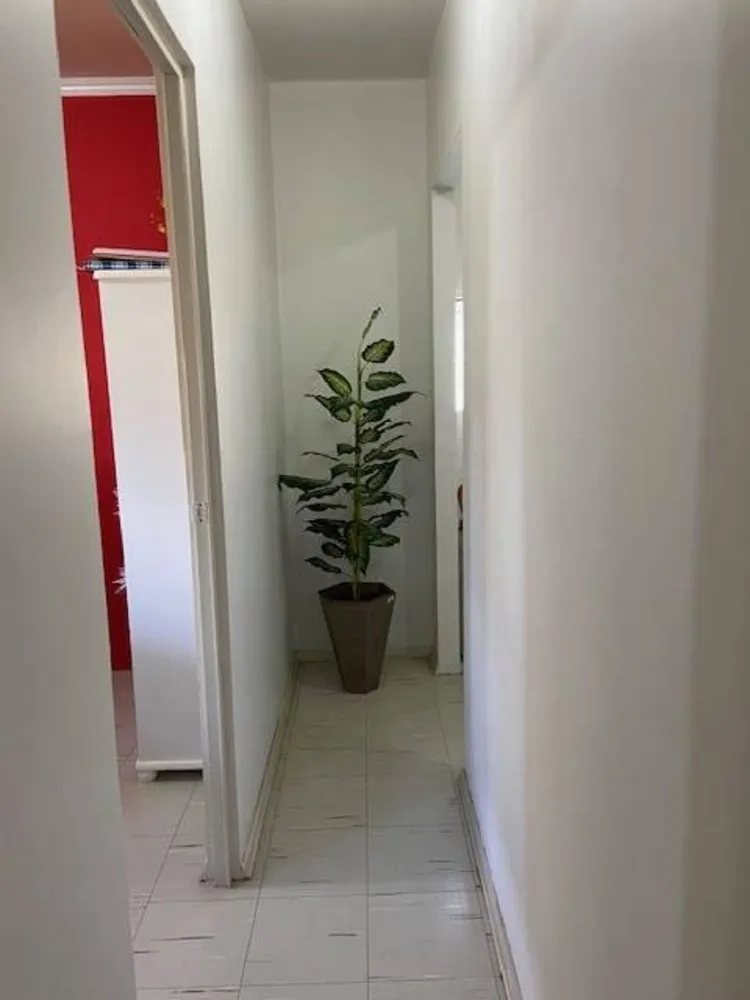 Sala-Conjunto, 35 m² - Foto 7