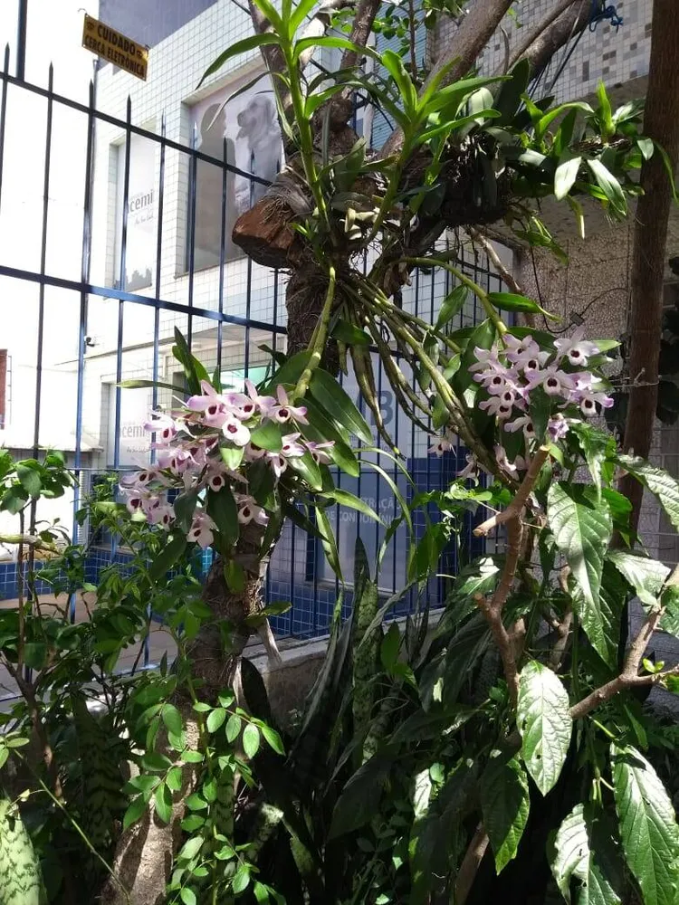 Apartamento, 3 quartos, 109 m² - Foto 16