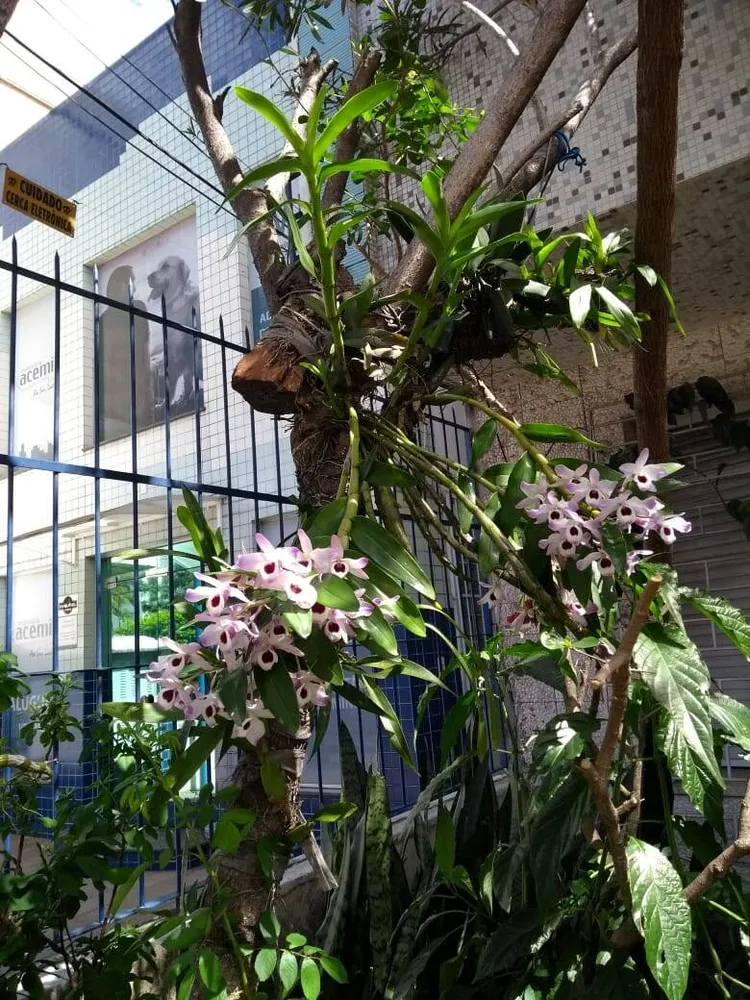 Apartamento, 3 quartos, 109 m² - Foto 14
