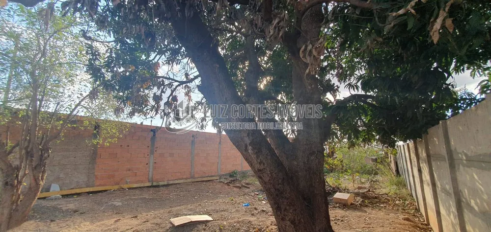Terreno, 300 m² - Foto 5