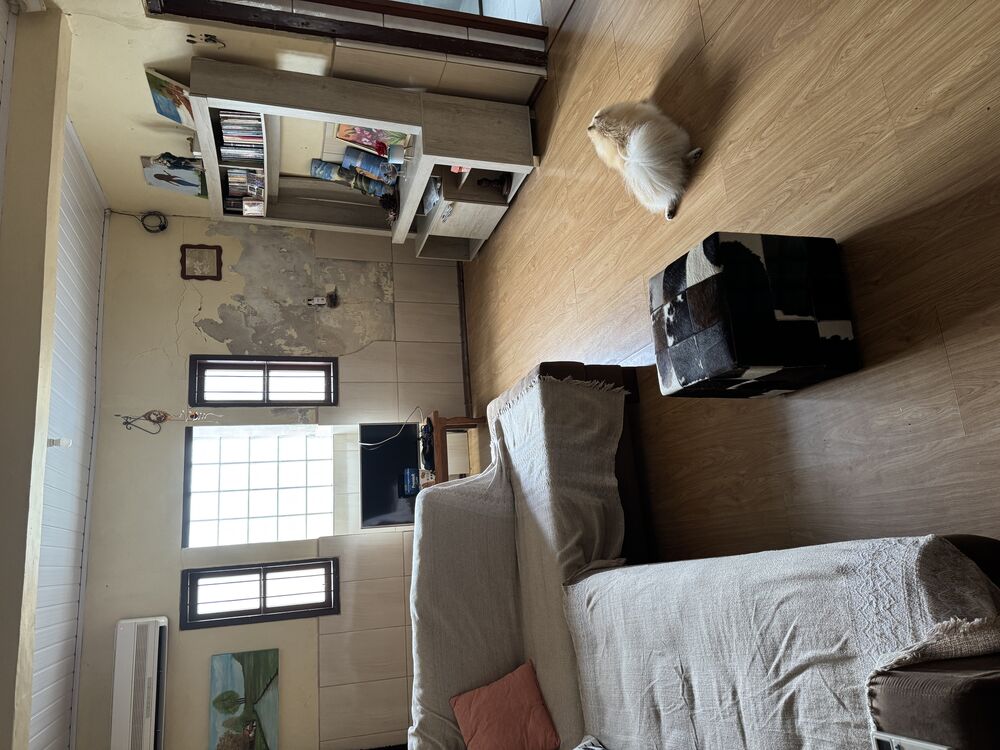 Casa à venda com 5 quartos, 200m² - Foto 37