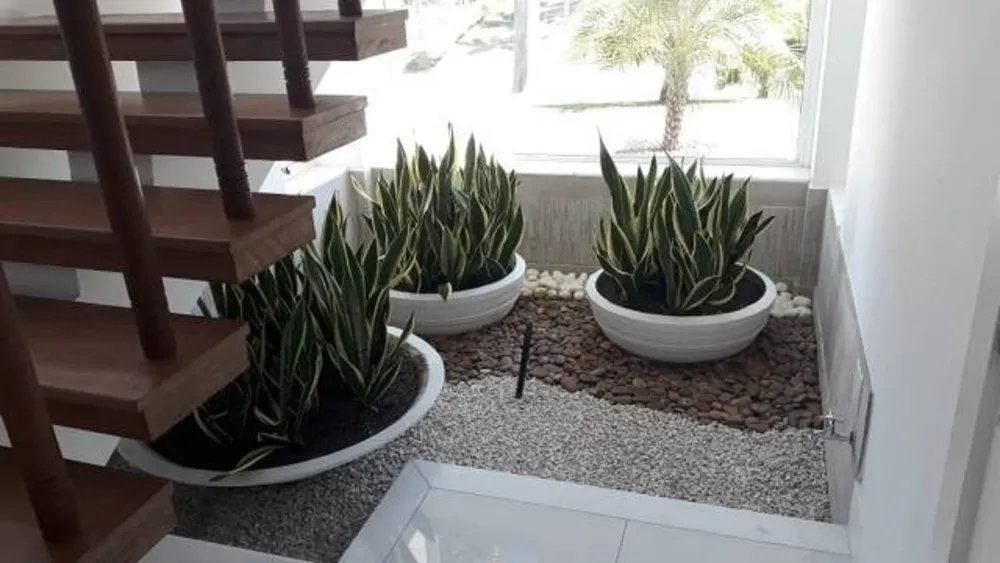 Casa, 5 quartos, 900 m² - Foto 46