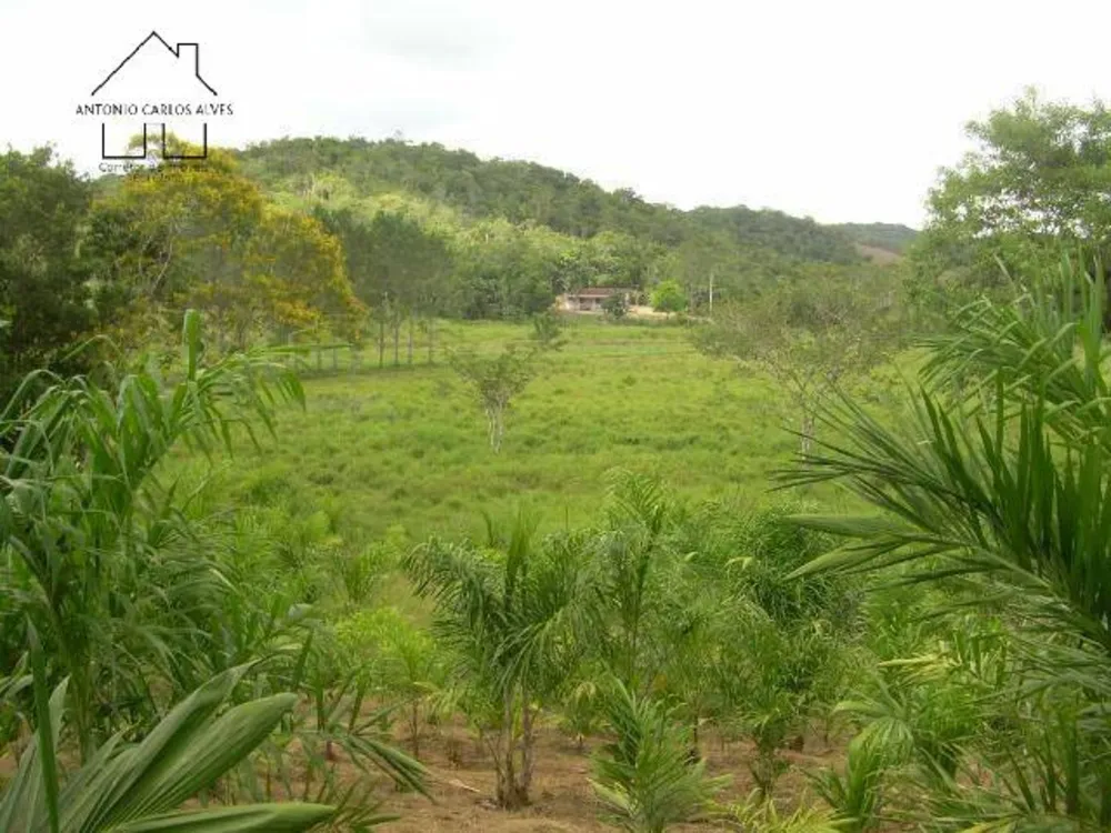 Terreno, 19 hectares - Foto 13