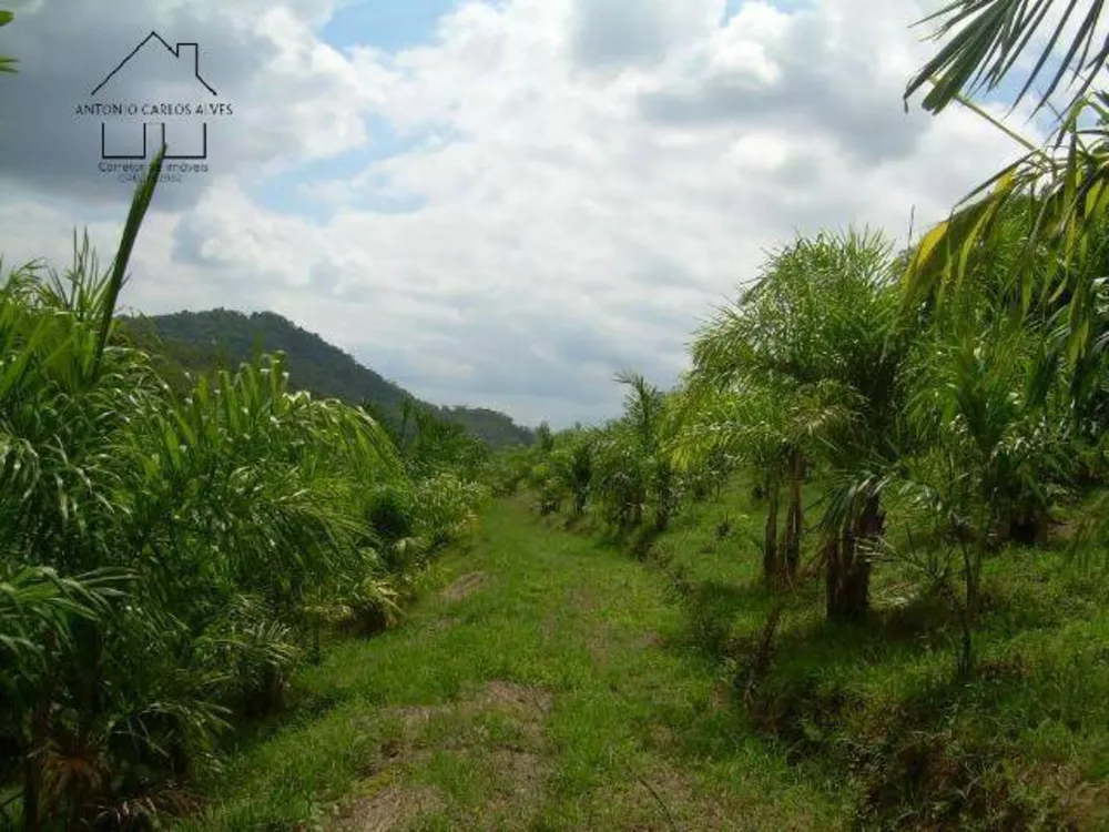 Terreno, 19 hectares - Foto 14