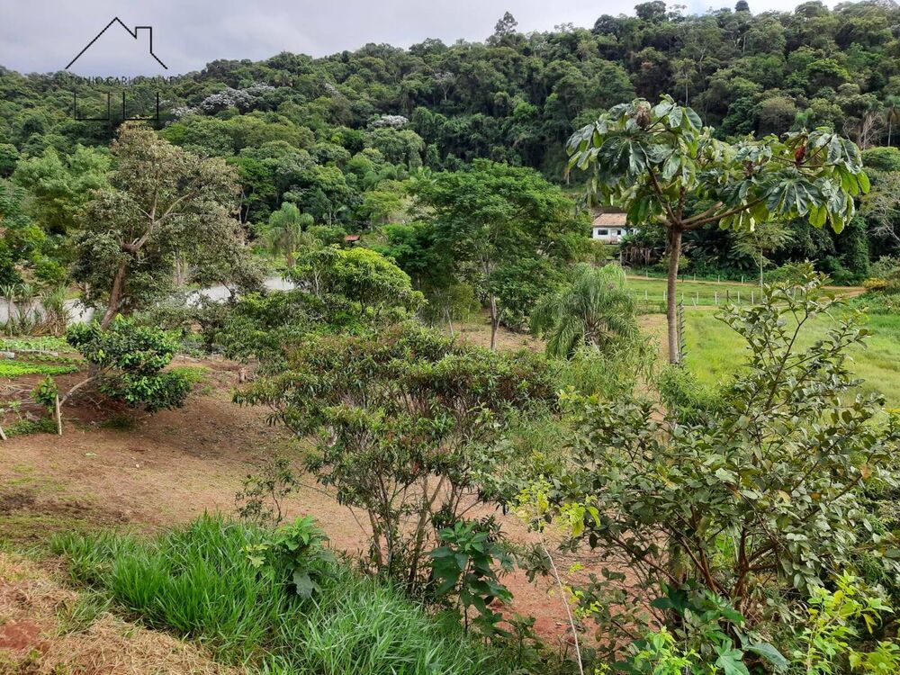 Chácara, 2 quartos, 2000 m² - Foto 3