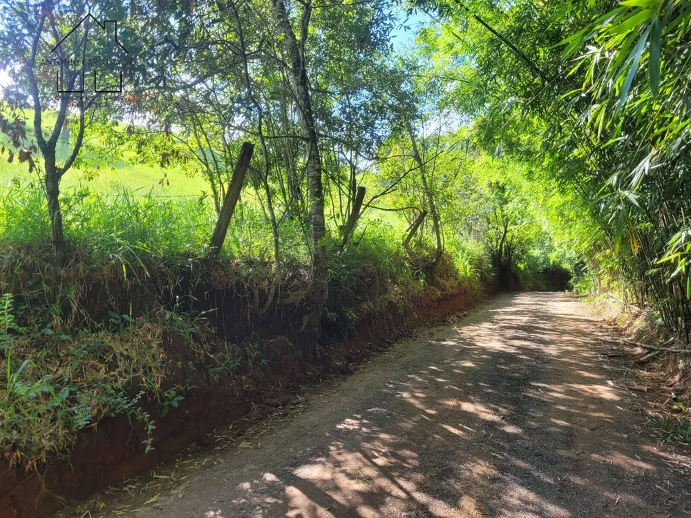 Terreno, 9 hectares - Foto 9