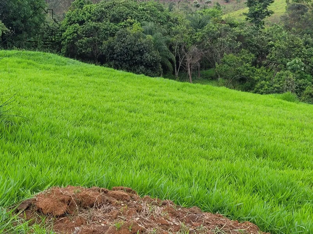 Terreno, 1 hectares - Foto 4