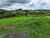 Terreno, 1 hectares - Foto 3
