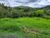 Terreno, 1 hectares - Foto 4