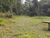 Chácara, 4 quartos, 4 hectares - Foto 1