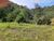 Chácara, 4 quartos, 4 hectares - Foto 2