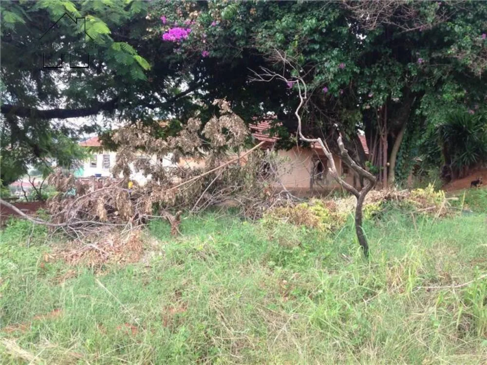 Terreno, 871 hectares - Foto 12