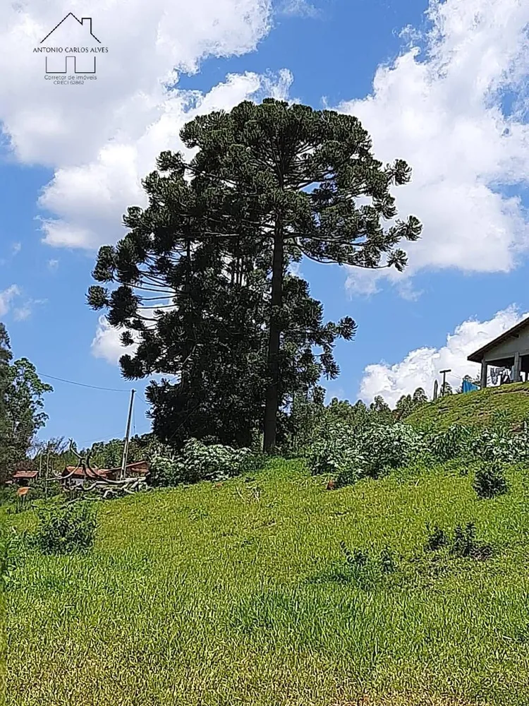 Sítio, 6 quartos, 2 hectares - Foto 11